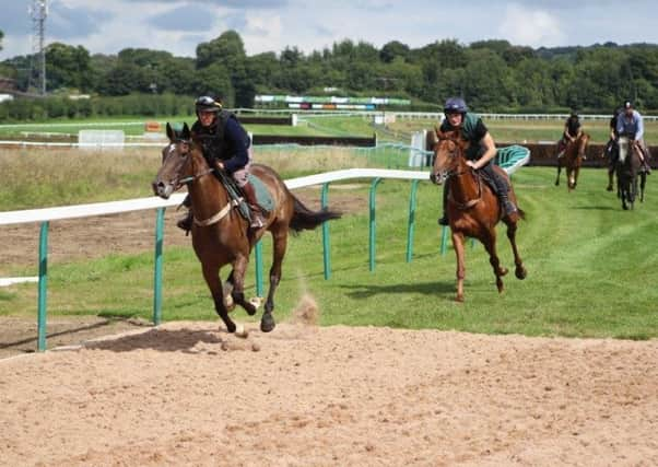 The new Fontwell bend is puts through its paces