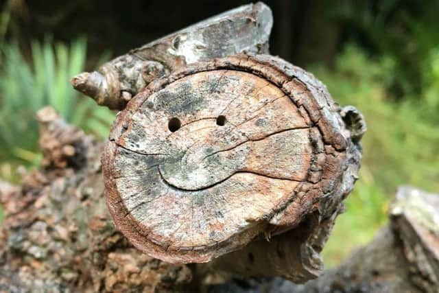 Sarahs Happy Tree Stump picture