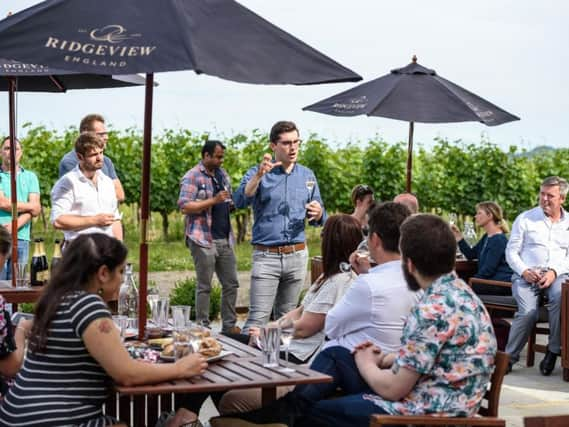 Sussex Wine Bus Tour at Ridgeview Wine Estate (Photograph: Julia Claxton)