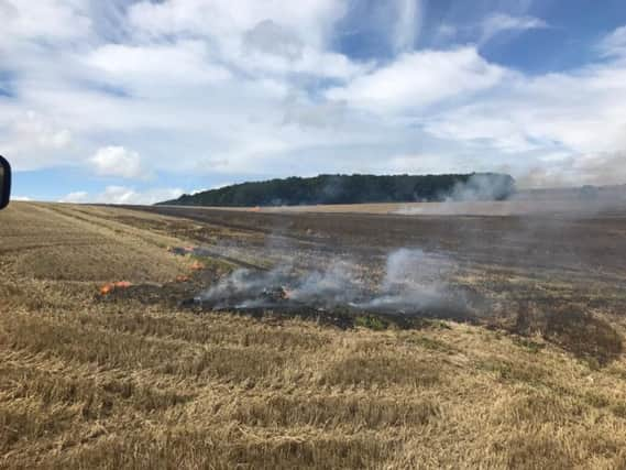 Fire at Falmer (Photograph: Eddie Mitchell)