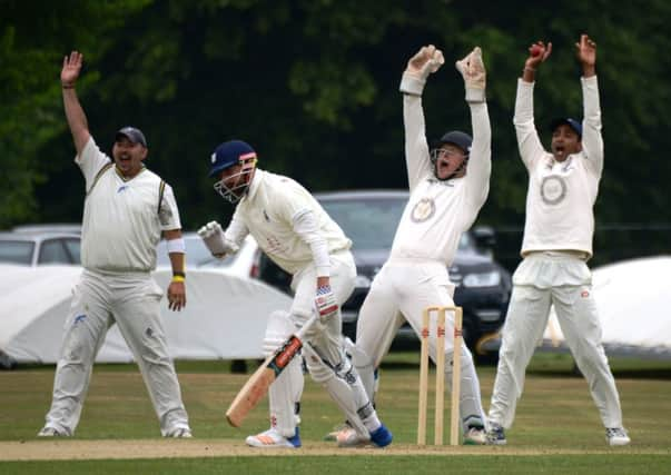 Cuckfield appeal for a wicket during the reverse fixture against Bexhill back in June. Picture courtesy Andy Hodder