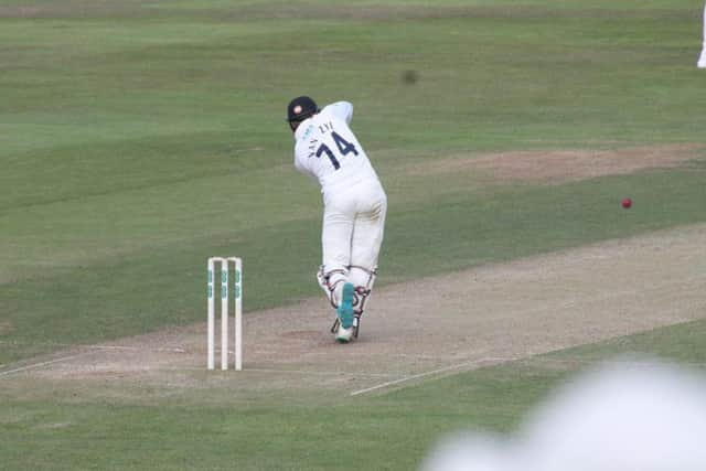 Stiaan van Zyl during his important knock of 38.