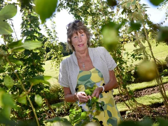 Gill Bacon picking hops