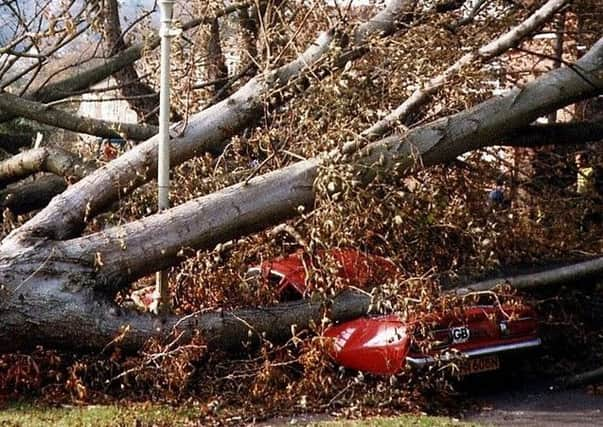 The Great Storm caused major disruption across Sussex. Photo: Sandra Monk