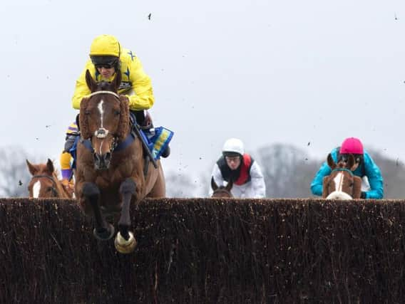 Killala Quay, stable-mate of Azure Fly